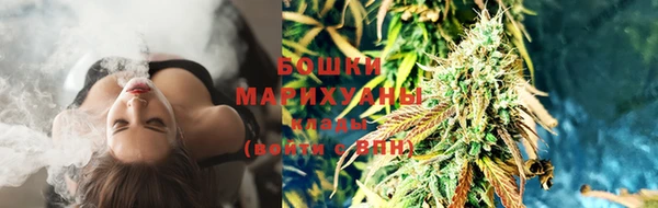 дмт Абаза