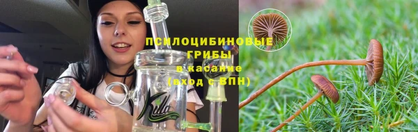 дмт Абаза