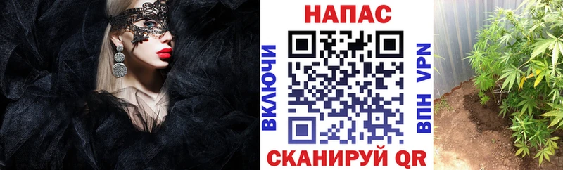 Шишки марихуана OG Kush  сколько стоит  Рославль 